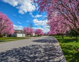 Spring Buying Season Starts Strong in Toronto Housing Market